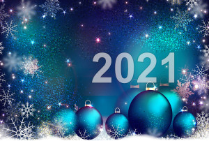new-year-toys-2021-snowflakes-frost