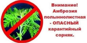 foto-2024-07-24-10-23-001