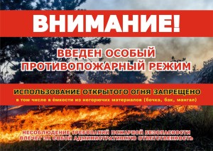 Особый режим 2025
