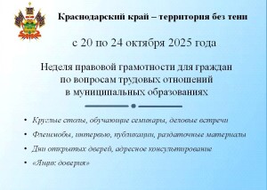 банер