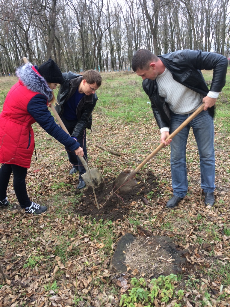 посадка саженцев-22.11.